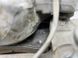 Суппорт тормозной 4G0615123C Audi A6  #5