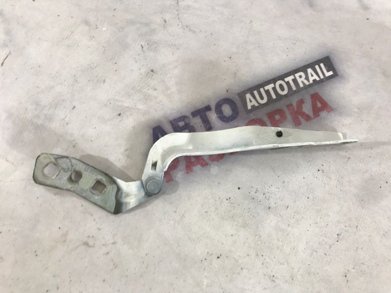 Петля капота LJ6BS16800AB Ford Escape