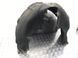 Подкрылок 4G0810172B Audi A6  #4