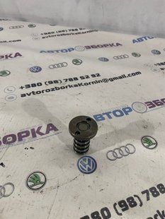 Гідравлічний болт фаз газорозподілу 06H109257A Volkswagen CC