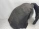 Подкрылок 31298151 Volvo XC60  #3