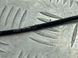 Датчик ABS F2GC2C205AB Ford Edge  #1