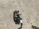 Суппорт тормозной DG9C2D251G Ford Edge  #3