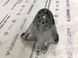 Опора / подушка двигуна 7L8199307H Audi Q7  #2