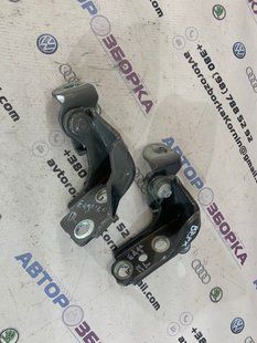 Петля двери Ford Edge