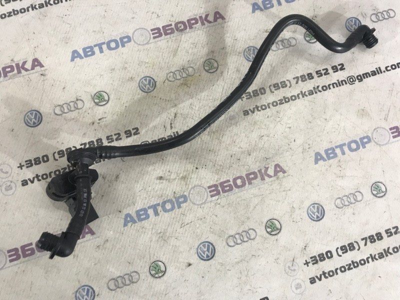 Трубка вакуумная с обратным клапаном 4G1611931D Audi A6