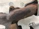 Турбіна з випускним колектором 04L253010TV Volkswagen Tiguan  #7
