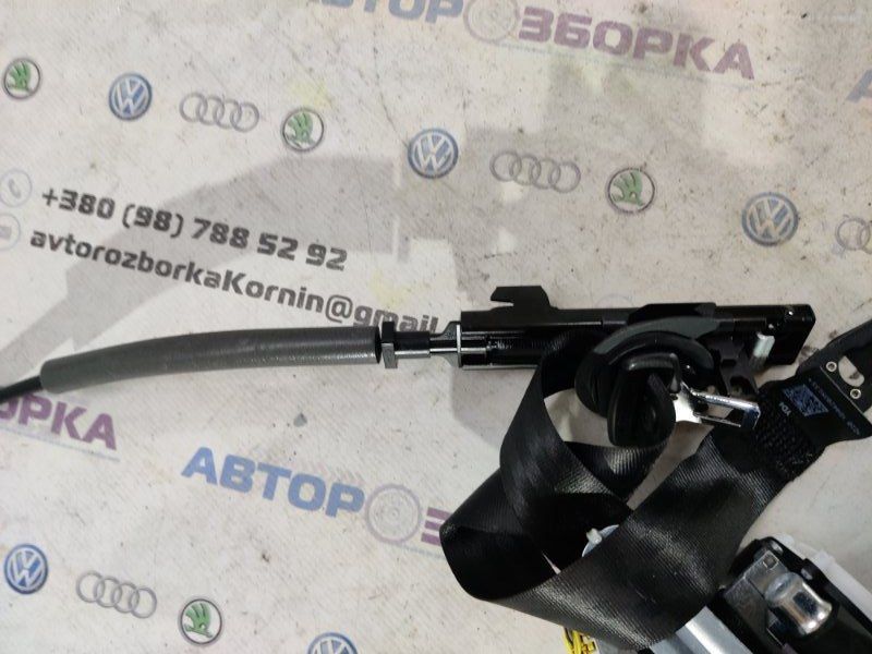 Ремінь безпеки Audi S8