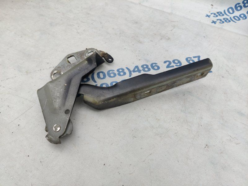 Петля капота 3C8823301A Volkswagen CC