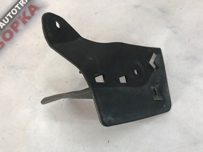 Бризковик 561854855A Volkswagen Passat