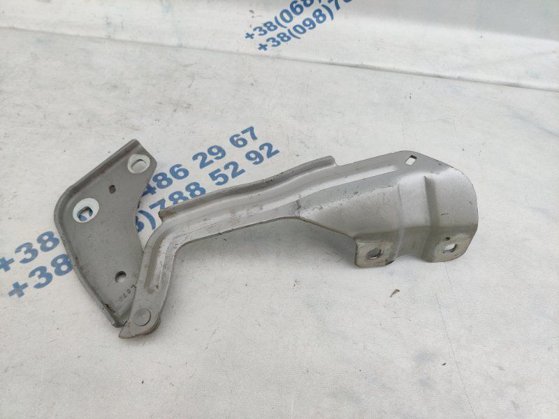 Петля капота правая FT4BR16801A Ford Edge Ford Edge