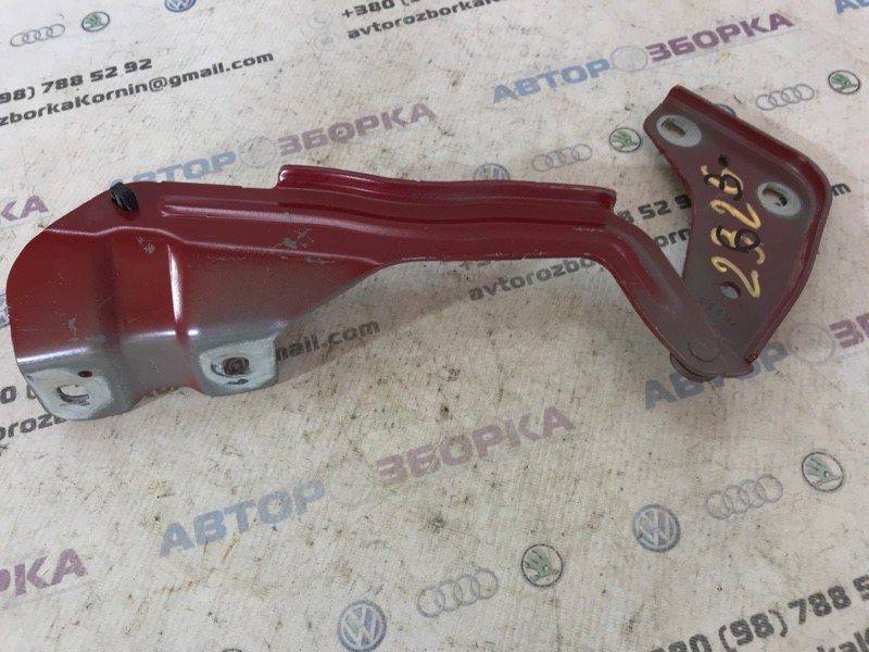 Петля капоту ліва FT4BR16800A Ford Edge Ford Edge