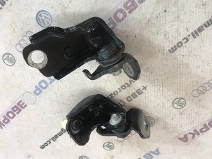 Петля двери Ford Fusion