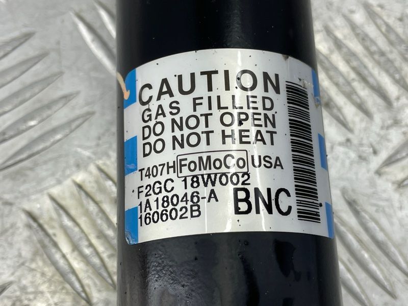 Стойка амортизатора F2GC18W002BNC Ford Edge