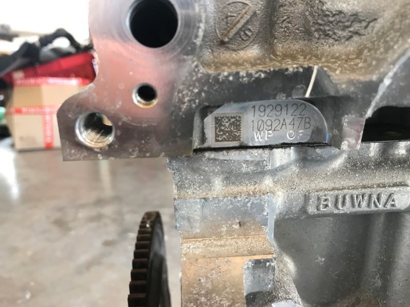 Двигун Ford Escape