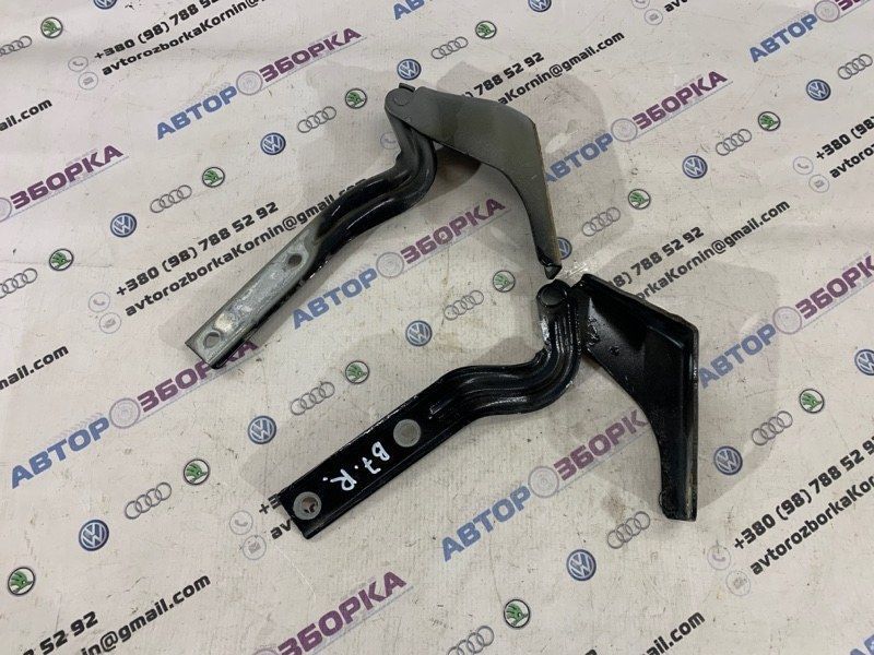 Петля капота 561823301A Volkswagen Passat