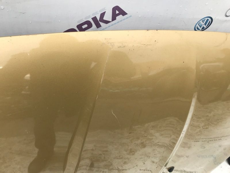 Капот CJ5Z16612A Ford Escape