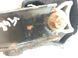 Опора / подушка двигуна 6G926P082AB Volvo XC60  #5