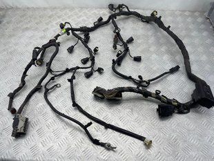 Проводка двигуна BU5T12C508J4CP7 Ford Flex