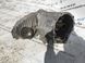 Раздаточная коробка 0BU341010N Audi Q7  #2