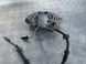 Суппорт тормозной 4G0615123C Audi A6  #1