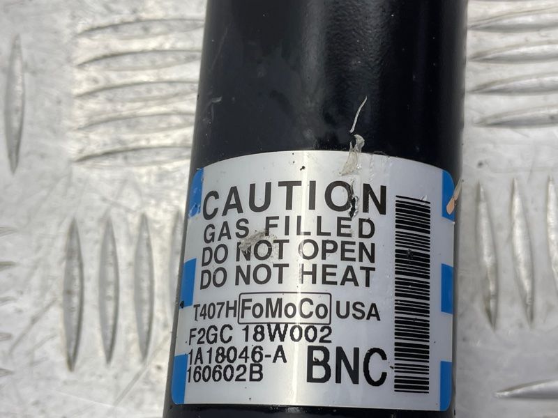 Стійка амортизатора F2GC18W002BNC Ford Edge