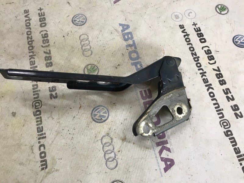 Петля капота 4L0823301 Audi Q7