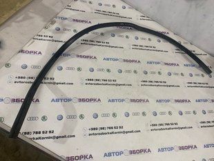 Уплотнительная резинка 3C0823723 Volkswagen CC
