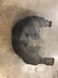 Подкрылок 4G0810171A Audi A6  #2